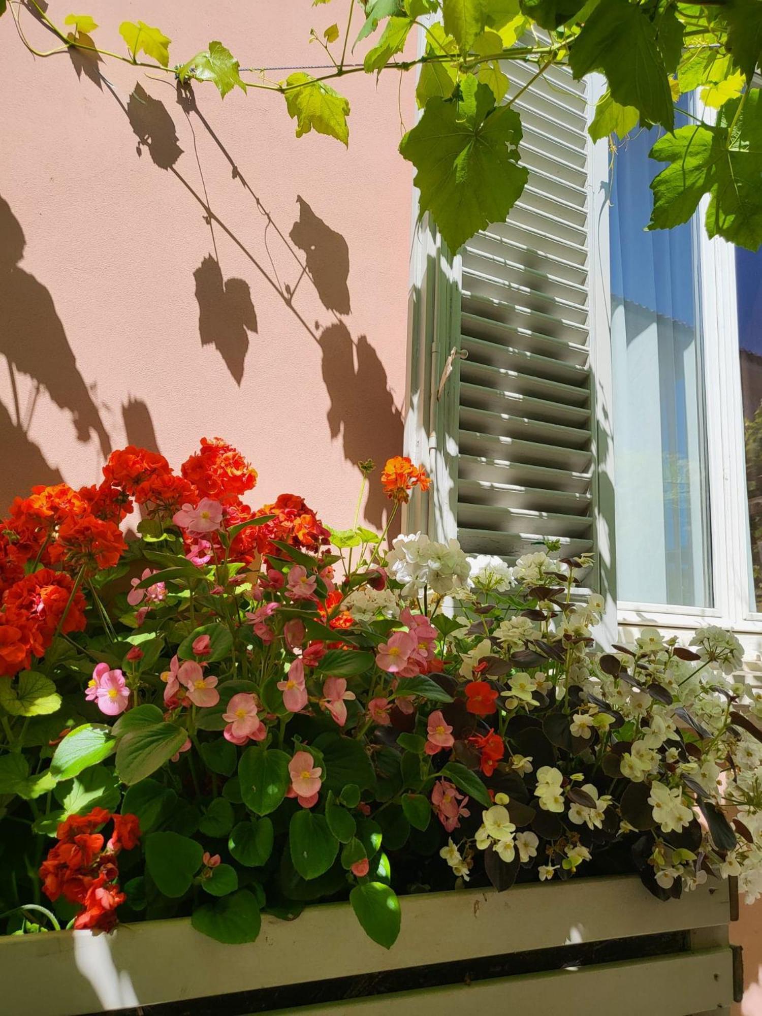 Il Buen Retiro Hotel Lucca Ngoại thất bức ảnh