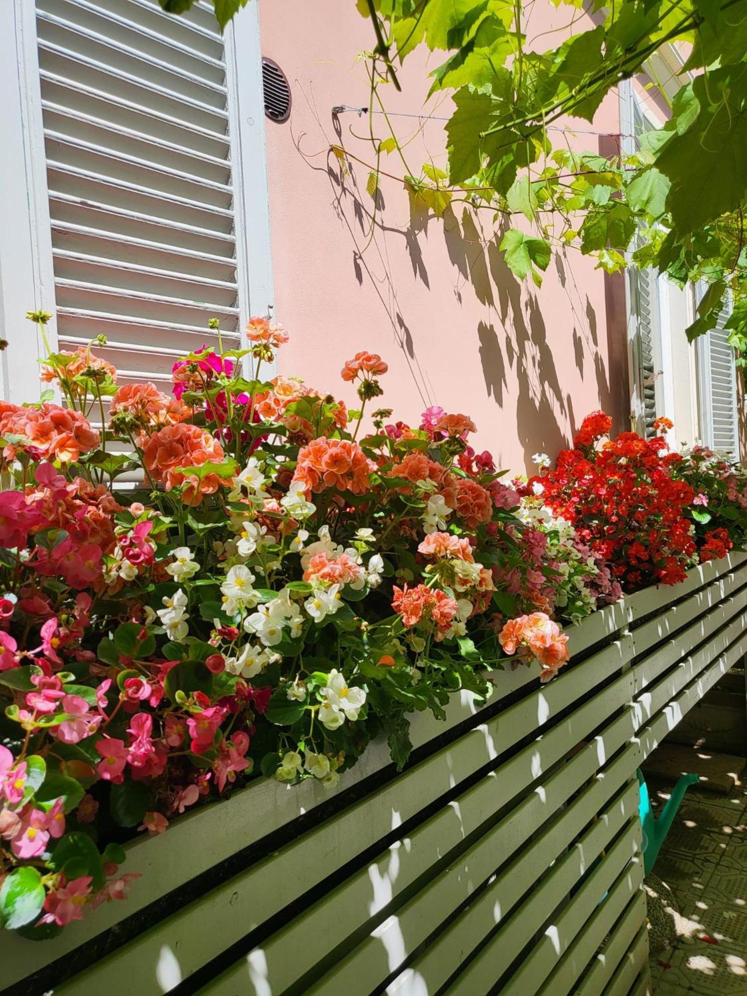 Il Buen Retiro Hotel Lucca Ngoại thất bức ảnh