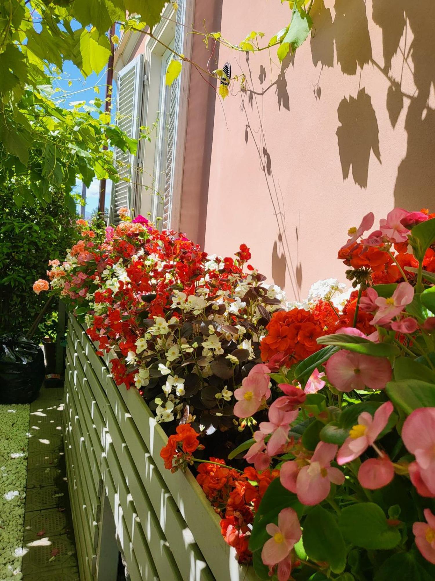 Il Buen Retiro Hotel Lucca Ngoại thất bức ảnh