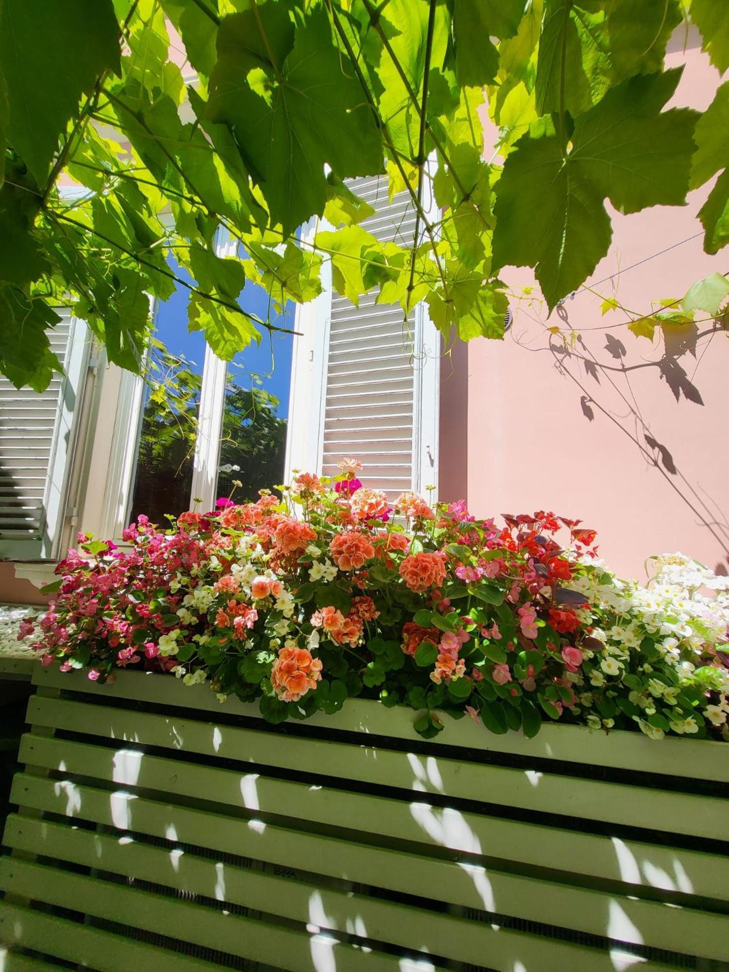 Il Buen Retiro Hotel Lucca Ngoại thất bức ảnh