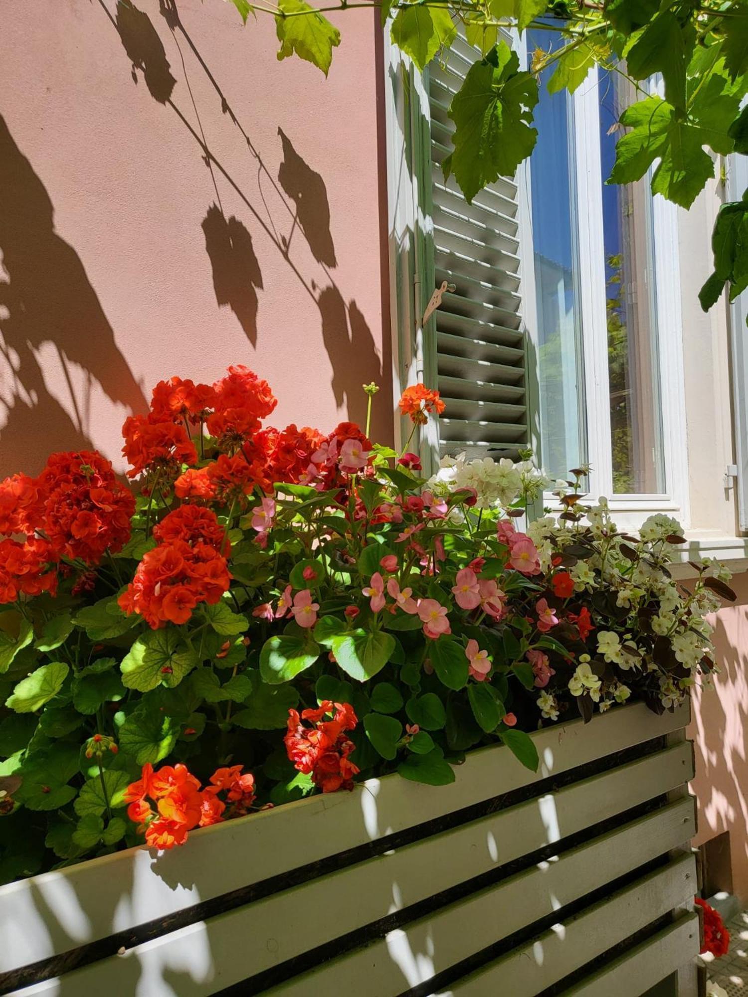 Il Buen Retiro Hotel Lucca Ngoại thất bức ảnh
