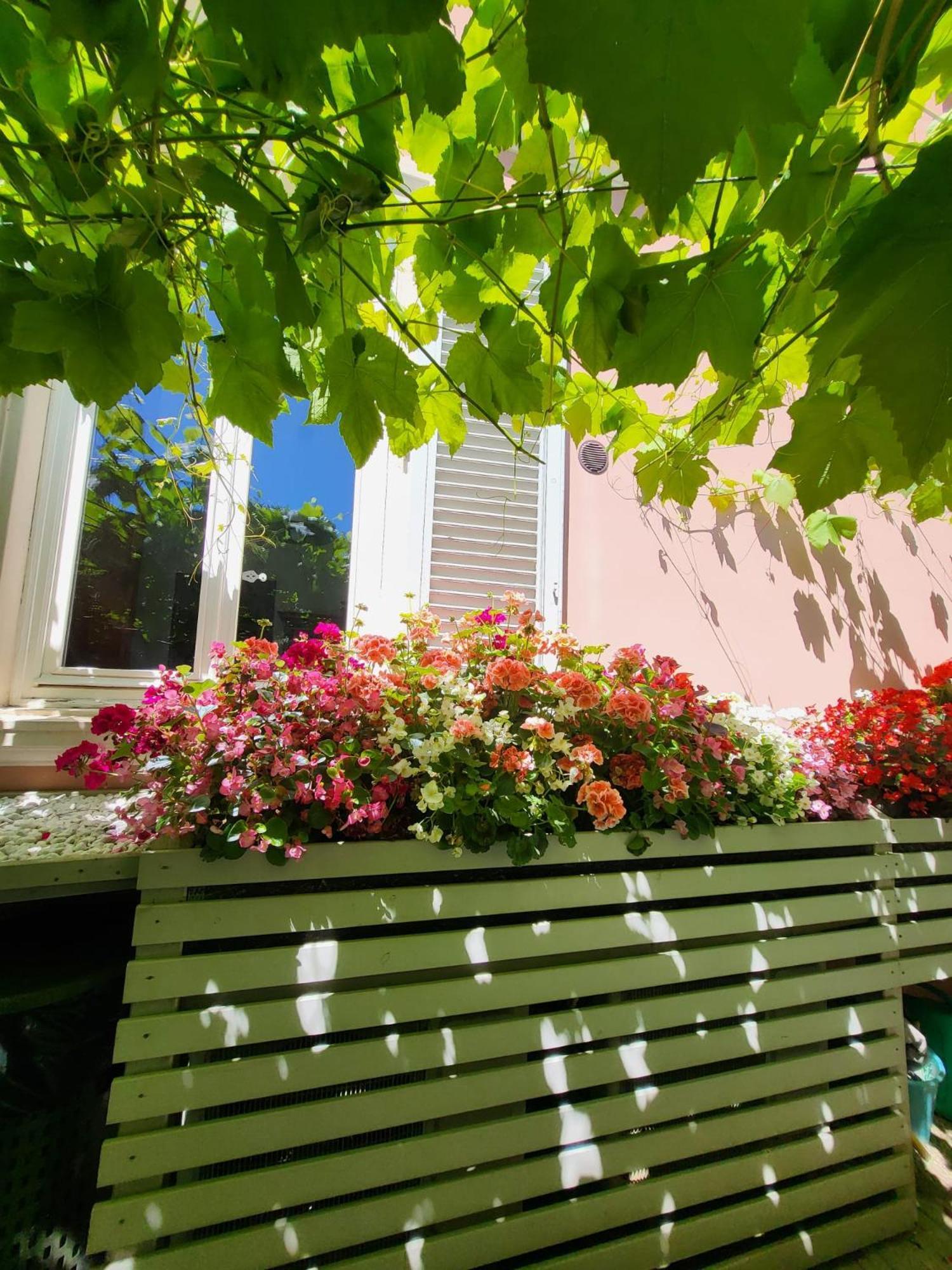 Il Buen Retiro Hotel Lucca Ngoại thất bức ảnh