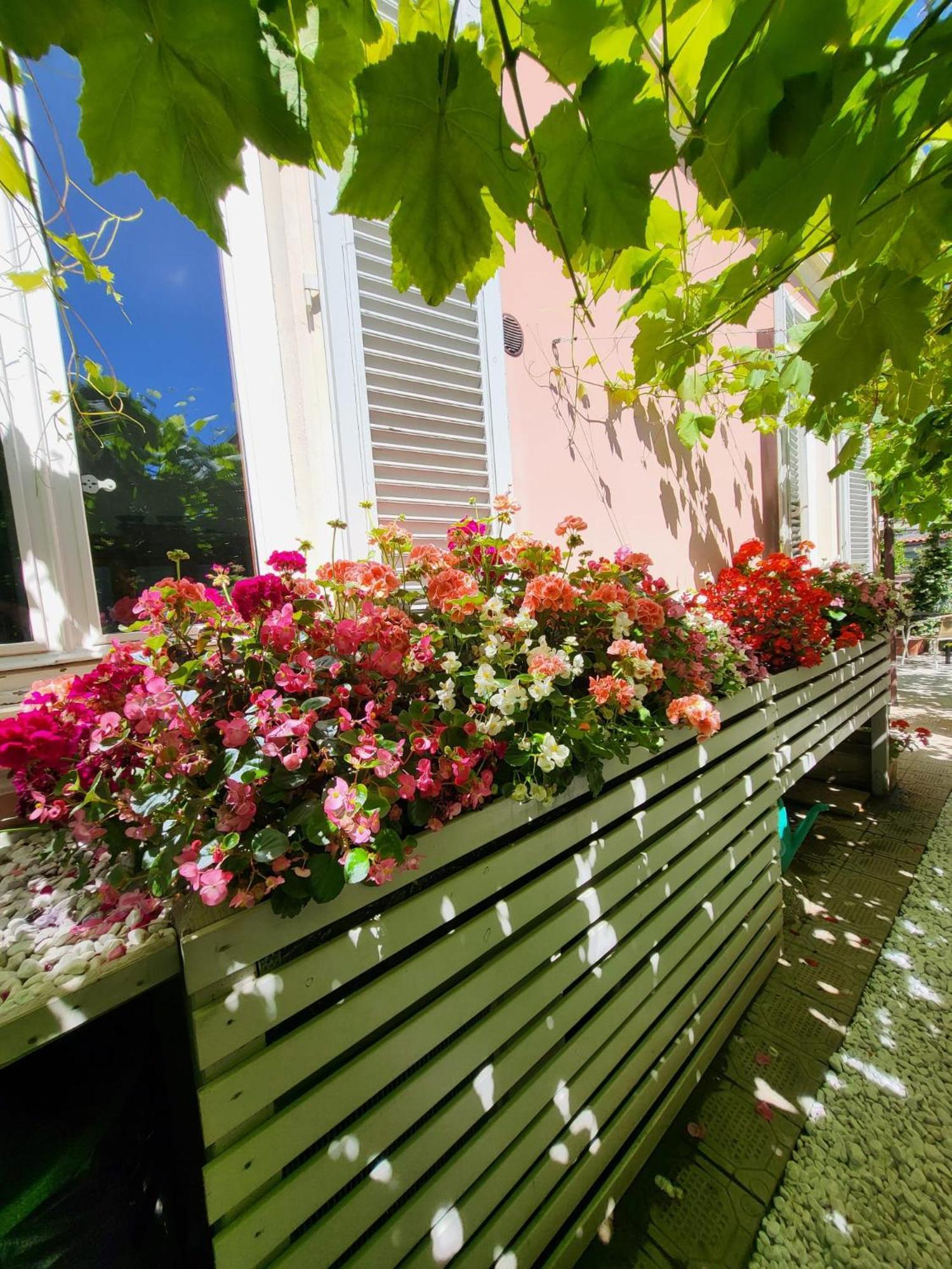 Il Buen Retiro Hotel Lucca Ngoại thất bức ảnh