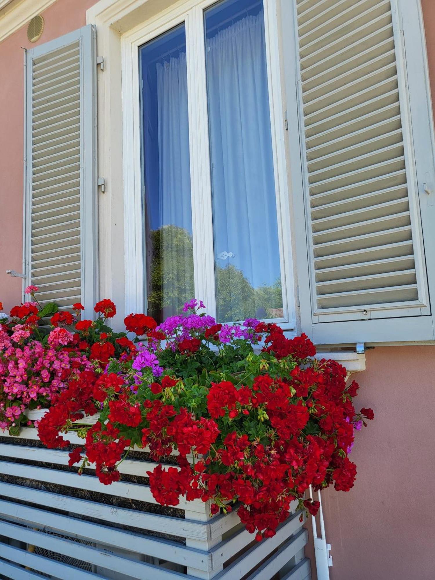 Il Buen Retiro Hotel Lucca Ngoại thất bức ảnh